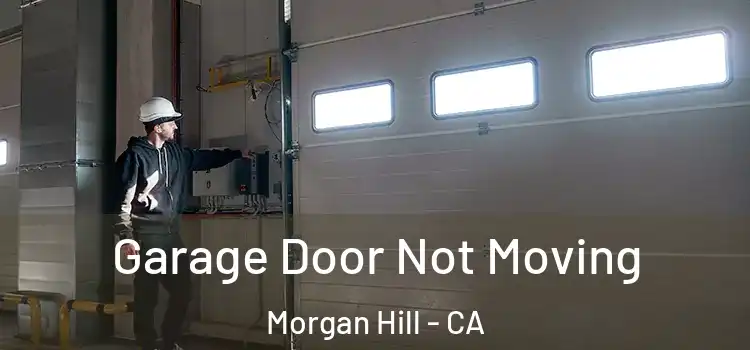  Garage Door Not Moving Morgan Hill - CA