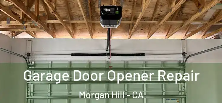  Garage Door Opener Repair Morgan Hill - CA
