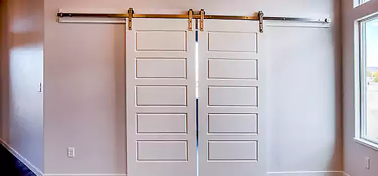 Glass Barn Door with Installation Hardware Kit Morgan Hill